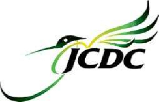 JCDC extends deadlines for 2022 competitions - Jamaica Observer