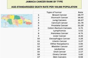 Racing rakes - Jamaica Observer