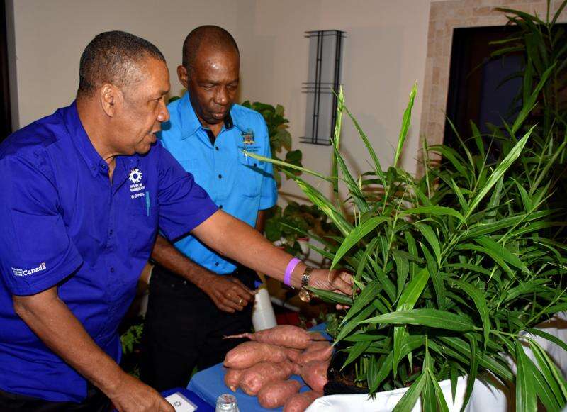 Hutchinson wants GCT removed on imported farm supplies Jamaica Observer