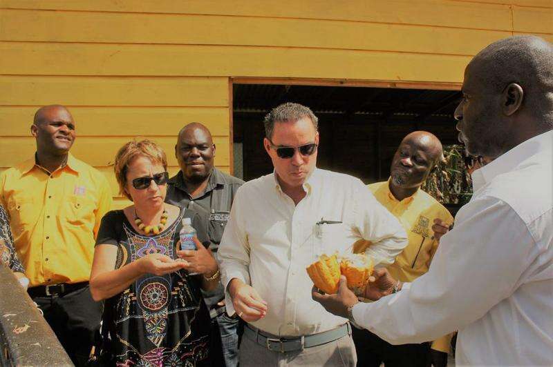Stanberry calls for increased investment in cocoa production Jamaica