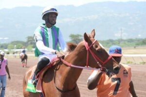 The unheralded exercise riders - Jamaica Observer