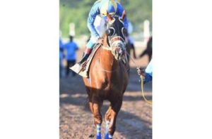 Chace Rodeo 'Chace' gets another chance - Jamaica Observer