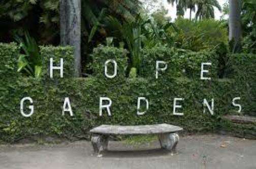 Hope Royal Botanic Gardens to host ‘Roots of Jamaica’ festival