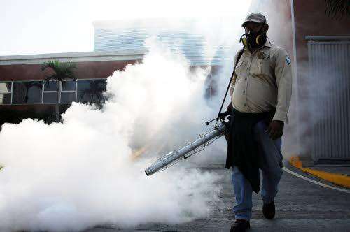 Vector-control workers stoned in Manchester - Jamaica Observer