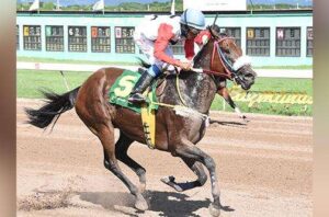 Anthony Thomas bounces back with a triple - Jamaica Observer