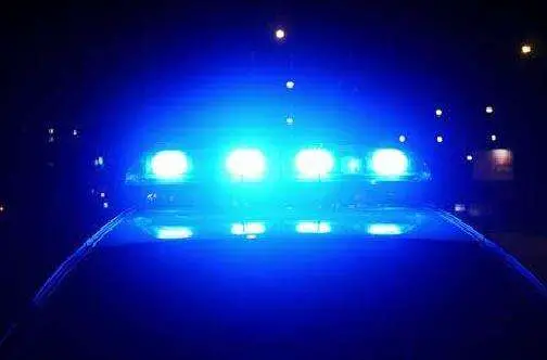 Sub-machine gun seized in St Catherine - Jamaica Observer