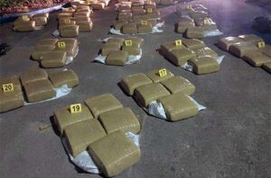 500 pounds of ganja seized in St Elizabeth, man charged - Vimarsana News