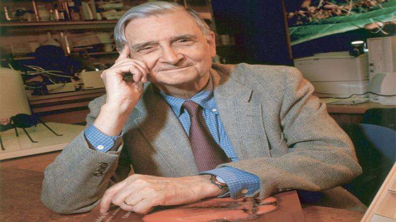 Edward O Wilson, biologist known as 'ant man,' dead at 92 - Jamaica ...