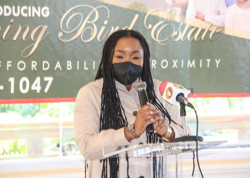 Major housing development in Trelawny Jamaica Observer