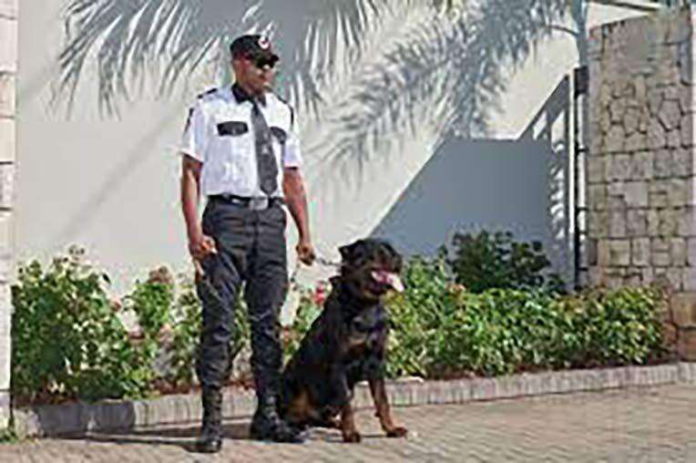 Guardsman launches virtual corporate university Jamaica Observer