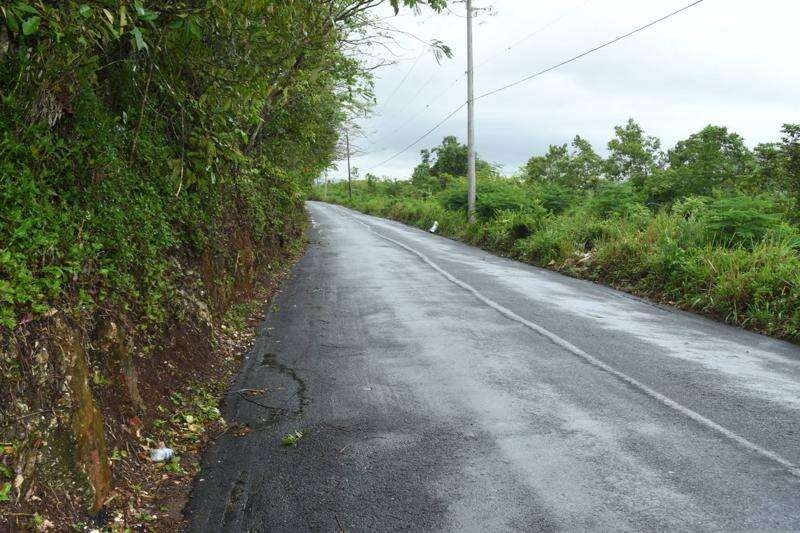Melrose Yam Park vendors bracing for drop in business Jamaica Observer