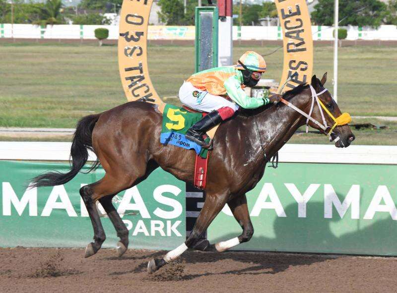 Power Ranking outpaces rivals in feature race - Jamaica Observer