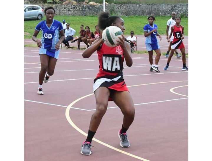 Schoolgirl netball standout Brianna Nevers sets sights on conquering ...