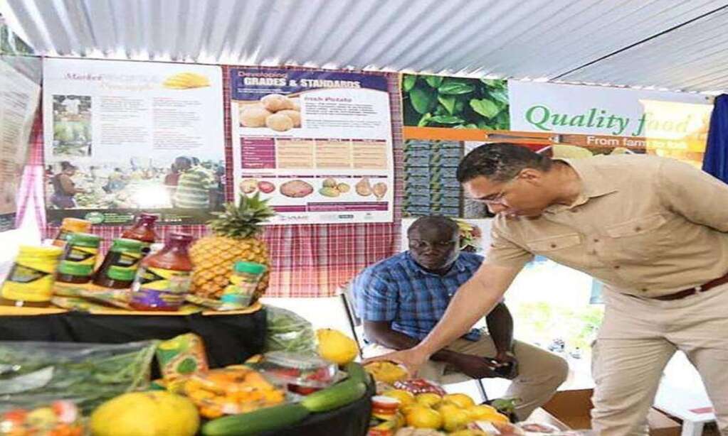 Record attendance expected at Hague Show in Trelawny Jamaica Observer