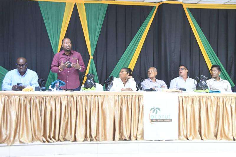 CIB grows coconut farming beyond eastern Jamaica Jamaica Observer