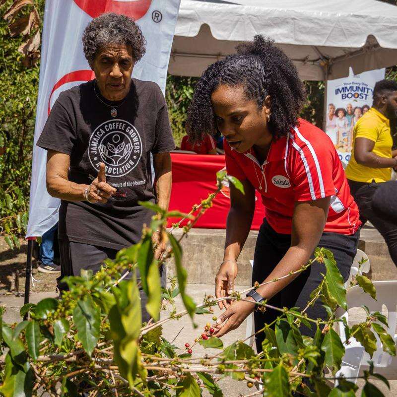 Grounds for Growth initiative gives small coffee farmers boost