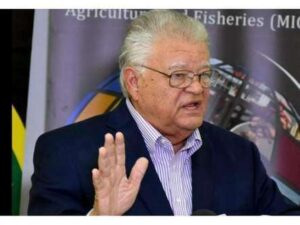 Mike Samuda Samuda presents evidence of payment for Mumbassa grass - Jamaica Observer