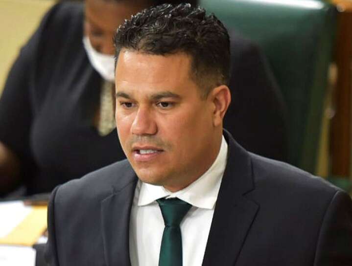 Mike Samuda Samuda to lead Jamaica’s agenda at the 3rd LoCAL Ministerial Meeting in ...