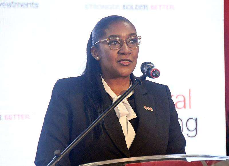 An acquisition year for VM Investments Limited Jamaica Observer