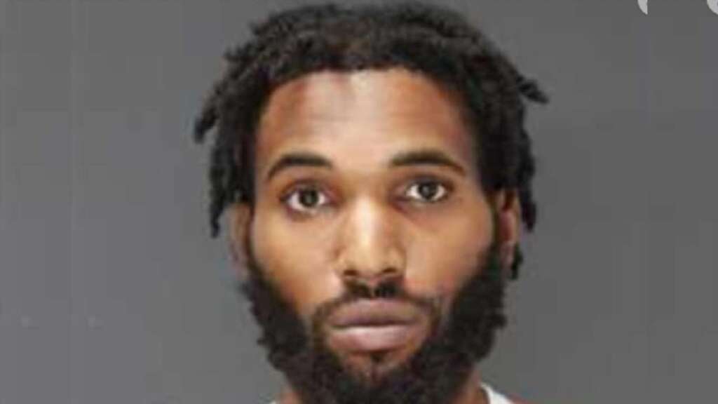 Jamaican charged in US for alleged machete attack Jamaica Observer