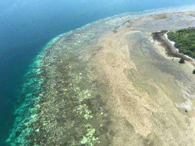 El Niño a ‘terrifying’ threat to coral reefs — UN biodiversity expert