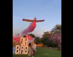 Pilot dies after plane crashes during gender reveal party in Mexico ...