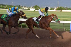 Convoy Run Canadian-bred Atlantic Convoy makes it win number three - Jamaica Observer