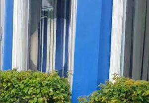 Woman charged after stoning police station, JN Bank in St Ann - Jamaica ...