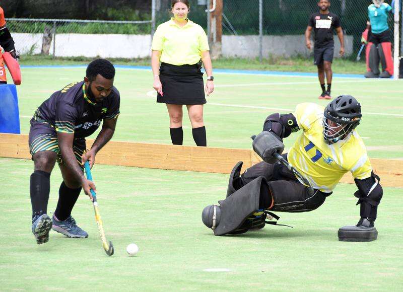 Hockey president confident Jamaica will leave its mark at World Cup