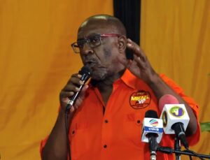 Former PNP aspirant freed of assault charge - Jamaica Observer - Vimarsana News