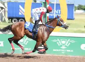 Impressive debut win from Funcaandun - Vimarsana News