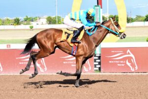 Rhythm Buzz to tune out rivals in Bonnie Blue Flag race - Vimarsana News