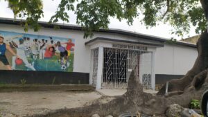 Free ballet classes for MoBay Boys and Girls Club - Vimarsana News