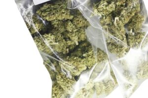 Men flee leaving bags of compressed ganja behind during police operation - Vimarsana News