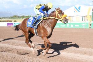 Sensational Move dazzles in Reggae Month Trophy win - Vimarsana News