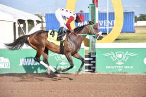 Is That A Fact impressive in Alexander Hamilton Memorial Trophy - Vimarsana News