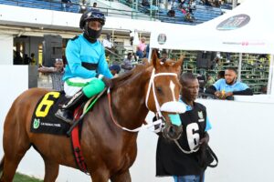 Desert of Malibu the one to beat in Reggae Month Trophy feature - Vimarsana News