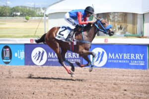 Blu Sensation has the ability to compete in the Classics — Peter-John Parsard - Vimarsana News