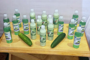 Cool as a cucumber - Vimarsana News
