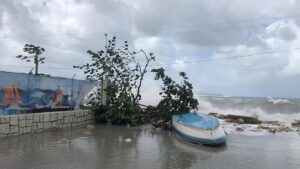 West reels from cold front's rain, wind - Jamaica Observer - Vimarsana News