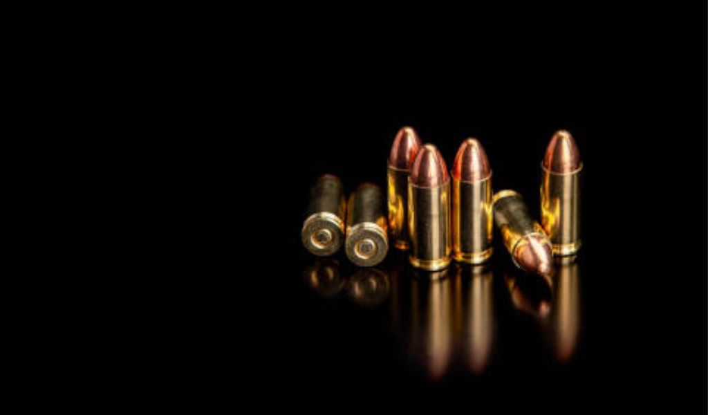 US veterinarian pays 1 million fine after ammo found in luggage at
