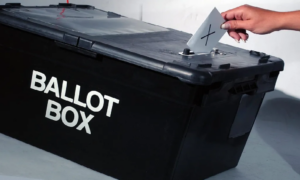 Neither JLP nor PNP see low voter turnout as a rejection by Jamaicans - Vimarsana News