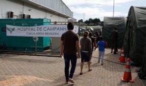 Brazil on dengue fever alert ahead of carnival - Jamaica Observer