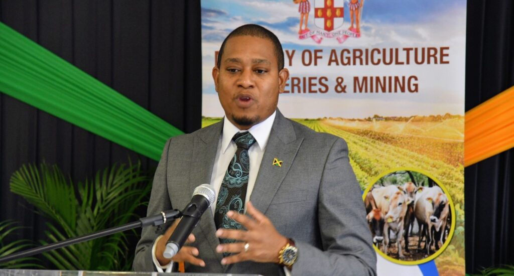 Wednesday, April 3, 2024 Jamaica Observer