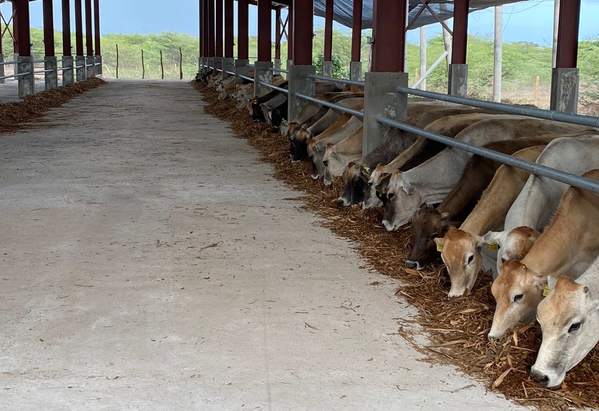 406m earmarked to continue Rehabilitation of Agricultural Research