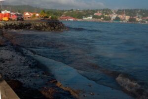 T&T PM to tour oil spill disaster - Jamaica Observer - Vimarsana News
