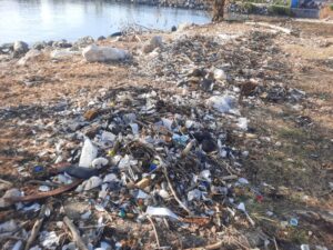 Western Parks and Markets mobilizes to clear debris after cold front - Vimarsana News
