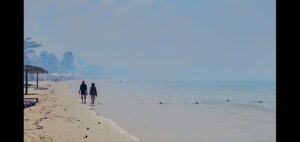 Hotels impacted by smoke from Negril Great Morass fire - Vimarsana News