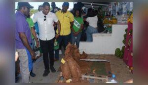 Trelawny's agriculture a priority says Minister Green - Vimarsana News