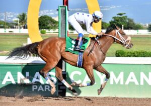 D Head Cornerstone prime for win today - Vimarsana News